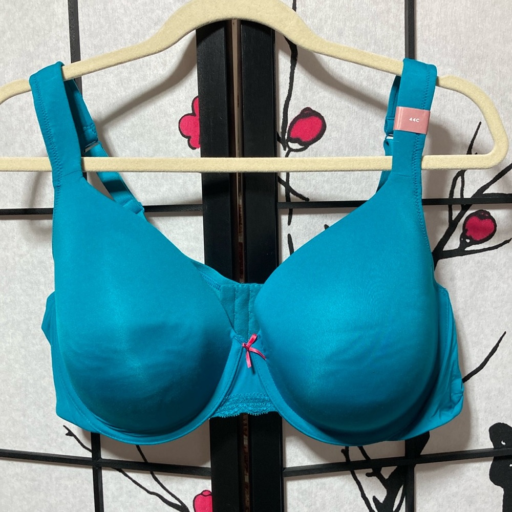 🐲💙 The Cacique Modern Collection Lightly Full Coverage Bra